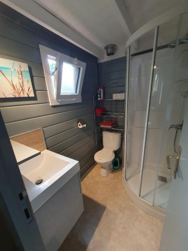une salle de bain avec un lavabo, une douche et des toilettes dans l'établissement Chalet calme et agréable, à Parentis-en-Born