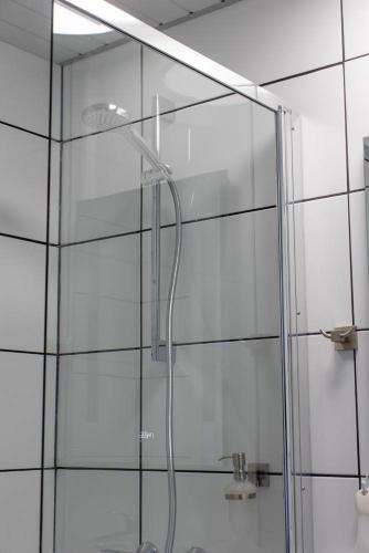 a shower with a glass door in a bathroom at Bed and Breakfast Harvey room in Delden