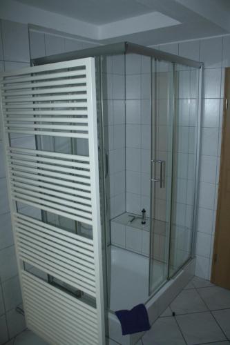 een douche met een glazen deur in de badkamer bij Ferienwohnung Zum Schwalbennest in Eimke