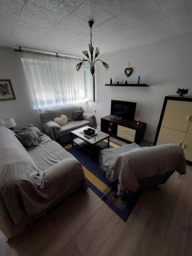 Apartment Ivanely