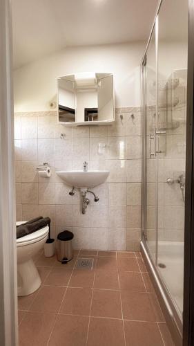 a bathroom with a sink and a toilet and a shower at Casa Ana new in 2025 high speed Starlink wifi in Buzet