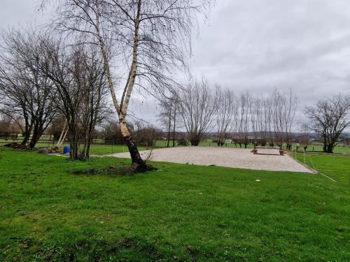 a park with a tree and a bench in the grass at Gîte Eschen in Plombières