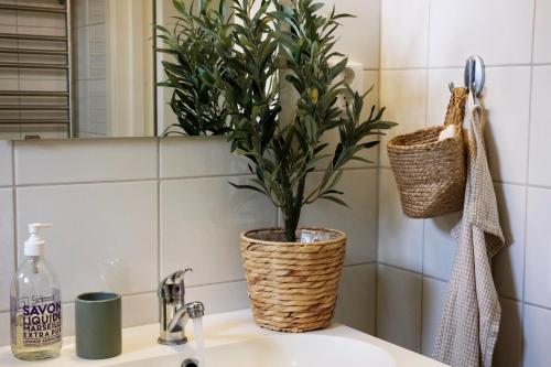 a bathroom sink with a potted plant on it at Nice apartment outside Laholm in rural idyll in Laholm