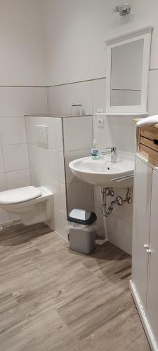 a bathroom with a sink and a toilet at Ferienwohnung Roeben in Simmerath