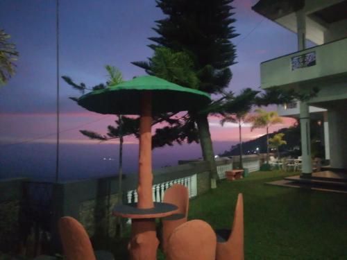 a statue of a cat holding a green umbrella at Srilak View Holiday Inn in Haputale