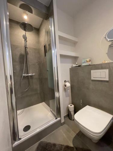 ein Bad mit einer Dusche und einem WC in der Unterkunft Ferienwohnung Gorch-Fock Scharbeutz in Scharbeutz