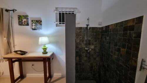 a bathroom with a shower and a table with a lamp at Your perfect getaway ... in Palmyre