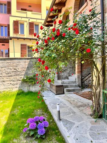 Zahrada ubytování B&B Il Podestà