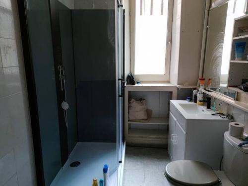 une salle de bain avec une douche, des toilettes et un lavabo dans l'établissement Appartement cœur de ville., à Dole