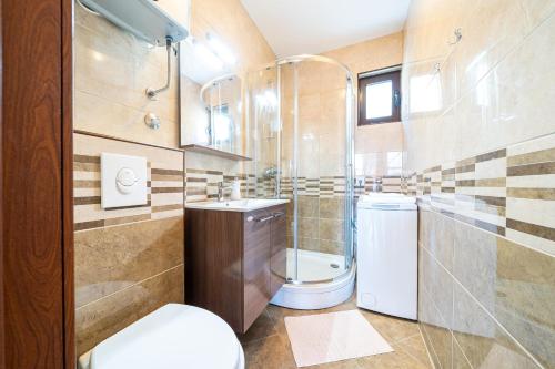ein Bad mit einem WC, einem Waschbecken und einer Dusche in der Unterkunft Apartments Svetlana in Tivat