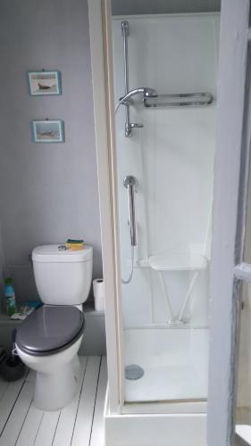 een witte badkamer met toilet en douche bij chez margaut in Saint-Valery-sur-Somme