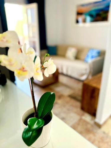 Cosy Studio in Costa Adeje - Orlandito