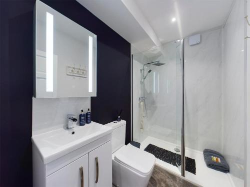 a bathroom with a toilet sink and a shower at The Stables Annex in Hinckley