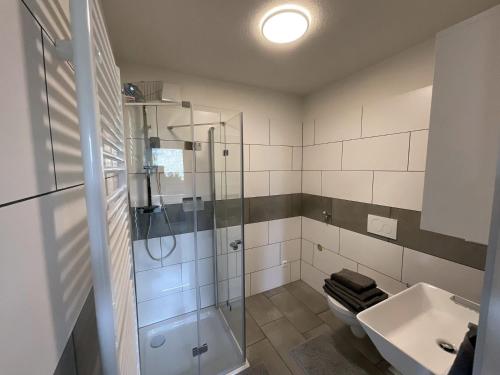 a bathroom with a shower and a toilet and a sink at Ferienwohnung Hajü in Herrischried