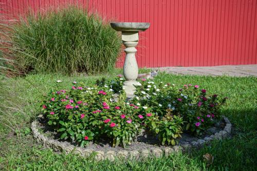 a flower garden with a bird bath and flowers at SovaApartman in Hajdúszoboszló
