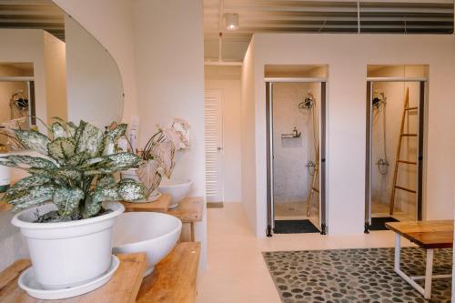 ein Badezimmer mit zwei Waschbecken und einer Topfpflanze in der Unterkunft Happiness Hostel Siargao in General Luna