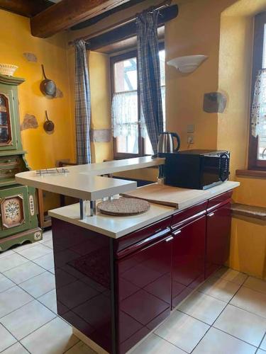 - une cuisine avec un comptoir dans une pièce dans l'établissement Le Majestueux dans le centre historique, à Riquewihr