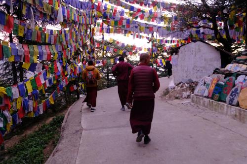 a group of people walking down a street with prayer flags at Mitra Mcleodganj in McLeod Ganj
