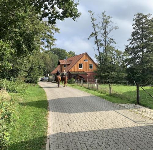 Habighorst的住宿－Ferienwohnung Wassermühle Habighorst，两个人骑马沿着谷仓前的小径跑