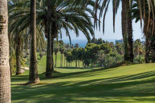 Sun Coast Benalmádena -- Superb studio near the beach with breakfast photo 40