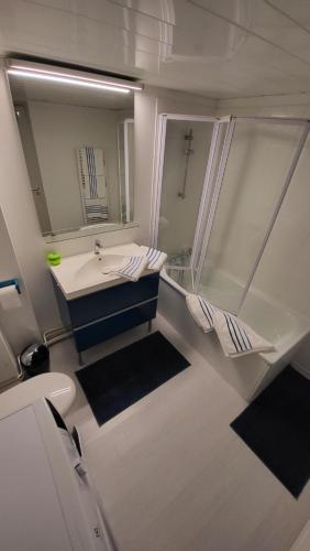 een badkamer met een wastafel, een toilet en een spiegel bij GINA Epernay Hyper-Centre 2-4 P in Épernay
