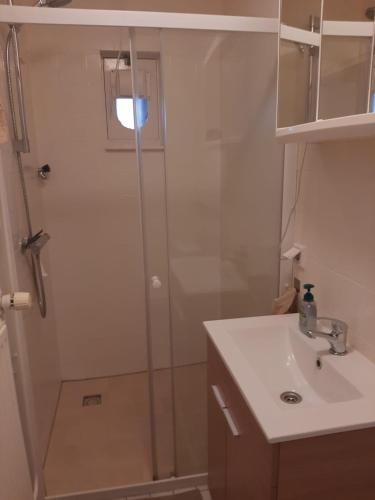 La salle de bains est pourvue d'une douche et d'un lavabo. dans l'établissement Klein Eikelenkamp, à Wilp