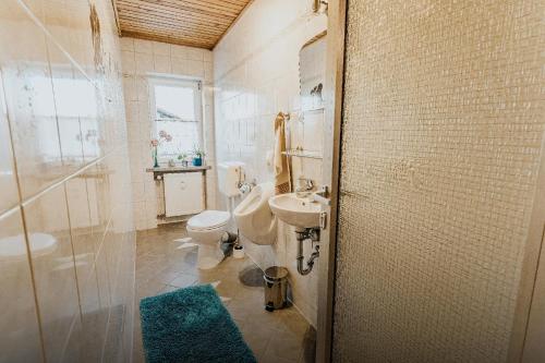 a bathroom with a sink and a toilet and a shower at Ferienwohnungen Hauner in Viechtach