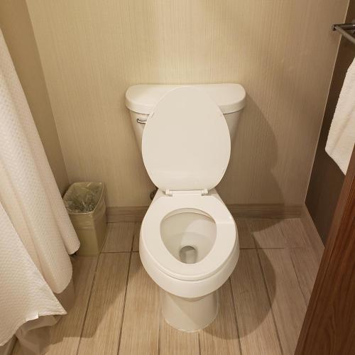 a bathroom with a white toilet in a room at Courtyard by Marriott Battle Creek in Battle Creek