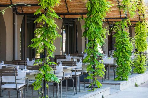 un restaurante con mesas y sillas con plantas. en Hôtel Spa & Restaurant - Son de Mar, en Porto Vecchio