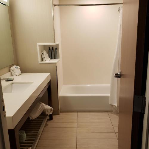 a bathroom with a sink and a bath tub at Courtyard by Marriott Battle Creek in Battle Creek
