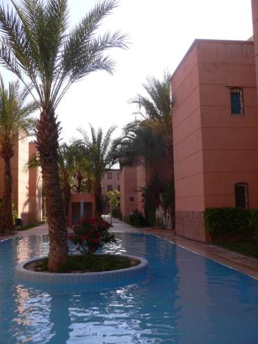 un palmier dans une piscine à côté d'un bâtiment dans l'établissement Riad Qariya siyahiya, à Marrakech