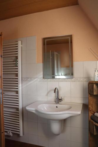 a bathroom with a sink and a mirror at Landleben pur in Oersberg