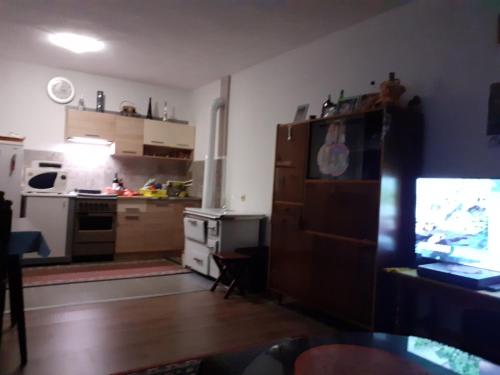 a living room with a kitchen and a television at Pantića avlija - Ethno household in Požega