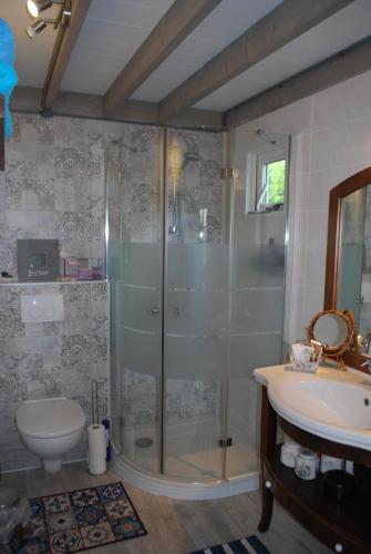 een badkamer met een douche, een toilet en een wastafel bij B&B Öland in Ottoland