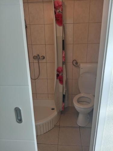 a small bathroom with a toilet and a shower at Apartments Šešo in Pag
