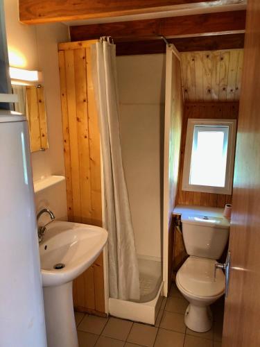 une salle de bain avec toilettes, lavabo et douche dans l'établissement Chalet dans le parc d'un manoir du XIXème, à Anglès