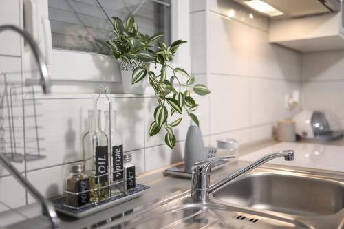 encimera de cocina con fregadero y planta en Two Bedroom Apartment Sunset Vir, en Vir