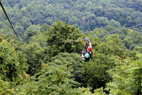 a person on a zip line in the forest at Adventures on the Gorge in Fayetteville