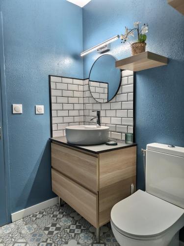 une salle de bain avec un lavabo et des toilettes dans l'établissement La Belle Jane - Hyper Centre - Fibre, à Albi