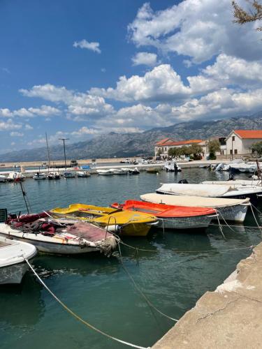 a group of boats are docked in a harbor at Apartaments Bee in Vinjerac