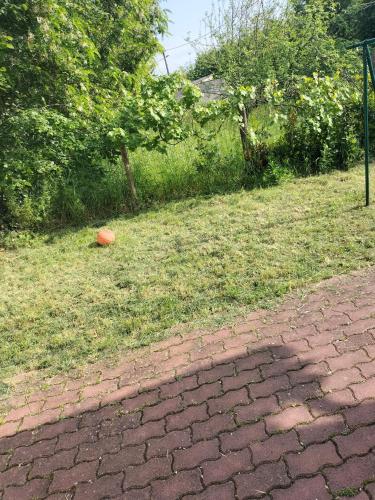 un frisbee rouge sur un chemin en briques dans une cour dans l'établissement Hébergement 24h le mans, au Mans