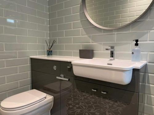 a bathroom with a sink and a toilet and a mirror at Luxury Beachfront The Cozy Clam in Pevensey