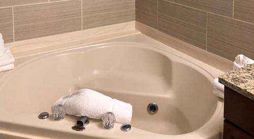 a bath tub with a roll of toilet paper in it at Massanutten Resort in Massanutten