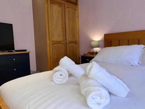 Katil atau katil-katil dalam bilik di Pass the Keys Perfect Tranquil Holiday Home Old Forge Pumphouse