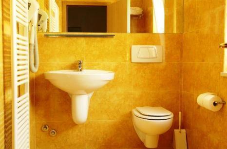 ein Badezimmer mit einem Waschbecken, einem WC und einem Spiegel in der Unterkunft Albergo Al Caminetto in Nago-Torbole