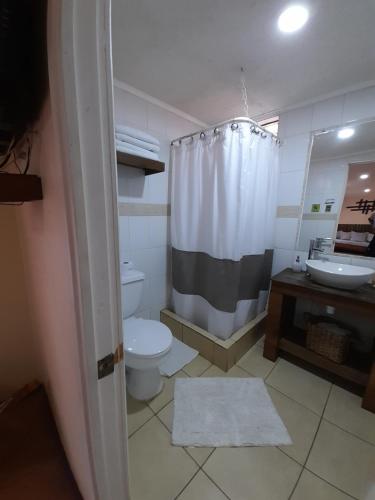 a bathroom with a toilet and a sink and a shower at Cabañas Refugio Nativo in Santa Cruz