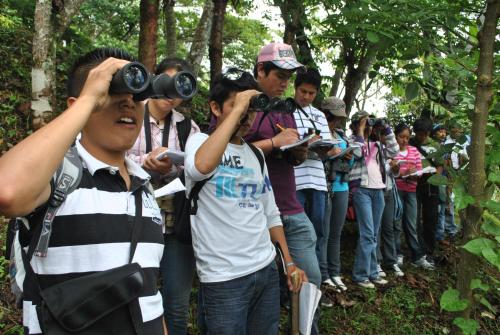 a group of people looking through binoculars in a forest at Cabañas Ecobiosfera in Catemaco