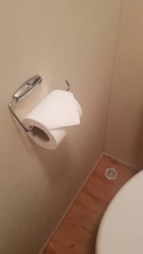 eine Rolle Toilettenpapier auf einem Halter im Bad in der Unterkunft 3 bedroom holiday home in South Hayling
