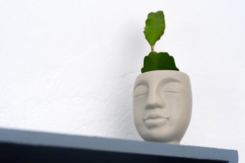 a white head with a plant sticking out of it at 1812 Caves 'n Mansion in Karterados
