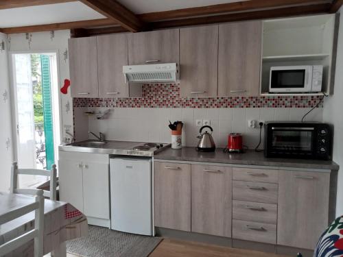 une cuisine avec un évier et un micro-ondes dans l'établissement Villa lutins Gentianes, à Le Mont-Dore